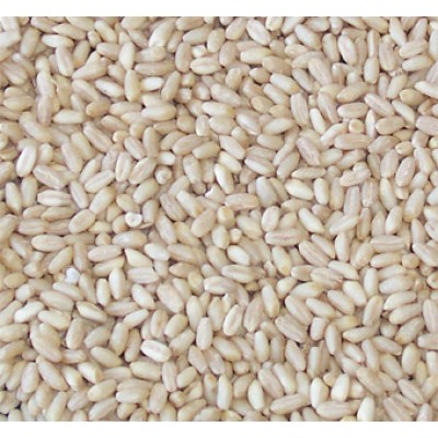 Aşurelik Buğday 1 kg - Wheat